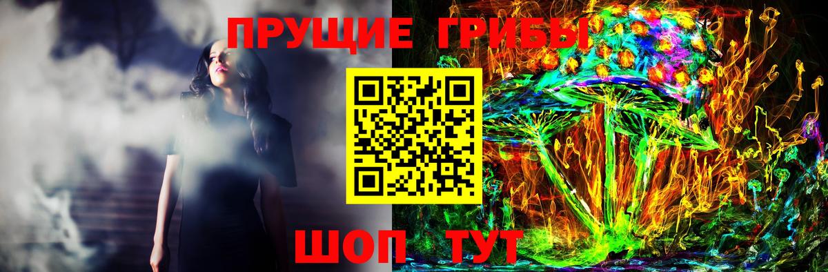 Галлюциногенные грибы Cubensis Малоярославец