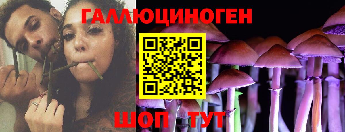 Малоярославец  Псилоцибиновые грибы прущие грибы  Вход с VPN 